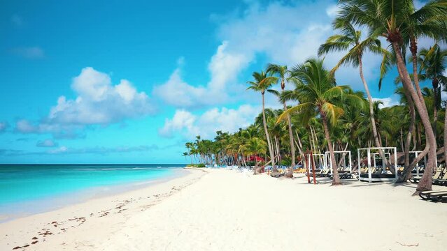 Exotic beach on a sunny day in the Dominican Republic. Tropical beach nature in summer landscape with palm trees and calm sea for relaxation. Luxurious tourist scenery, a beautiful place to relax.