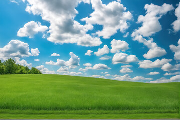 Vast grassland with blue sky and white clouds