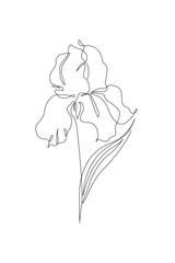 Iris flower in continuous line art drawing style. Iris flower black line sketch - 728569218