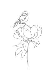 Peony flower in continuous line art drawing style. - 728569221