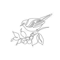 Abstract small bird perched on berries tree branch. Bird on a branch continuous one line drawing - 728569282