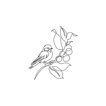 recommend clip art: Abstract small bird perched on berries tree branch. Bird on a branch continuous one line drawing