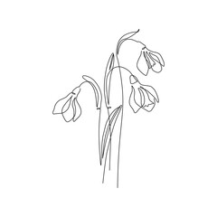 Snowdrops flower continuous line art drawing style. Snowdrop line sketch. Spring concept. - 728569459