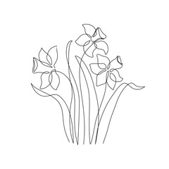 Narcissus flower in continuous line art drawing style. Narcissus black line sketch. - 728569473
