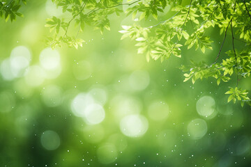 Fototapeta premium Soft blurry natural background with bokeh