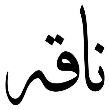 Naqa Muslim Girls Name Sulus Font Arabic Calligraphy 