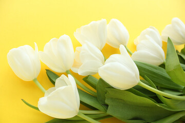 Fresh and Delicate: Close-up of White Tulips on a Vibrant Yellow Background