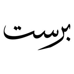 Parastoo Muslim Girls Name Sulus Font Arabic Calligraphy 