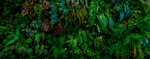 Herb wall, plant wall, natural green wallpaper and background. nature wall. Nature background of green forest