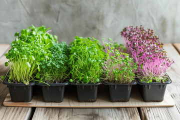 Trays with various microgreens standing on wooden table, front view