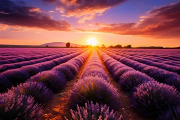 Foto op Canvas The Sun Sets Over a Lavender Field © Yana