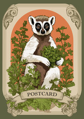 Lemur with parsley in hand vector postcard illustration