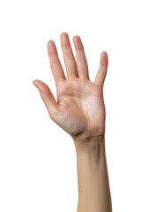 Woman hand holding grabbing or measuring something isolated on white background, with clipping path.  Five fingers. Full Depth of field. Focus stacking. Generative AI