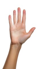 Woman hand holding grabbing or measuring something isolated on white background with clipping path. Five fingers. Full Depth of field. Focus stacking. Generative AI