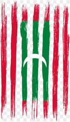 Maldives flag with brush paint textured isolated  on png or transparent background. vector illustration