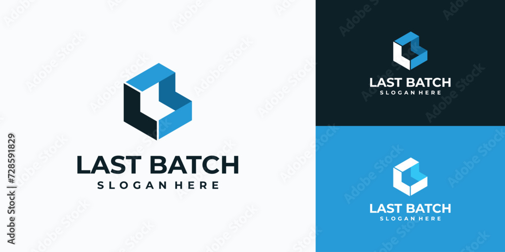 Poster vector logo design for the initials letter l b in a hexagon shape with a three-dimensional effect.