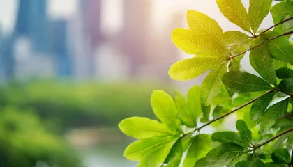 Deurstickers beautiful nature view green leaf on blurred building background under sunlight with bokeh and copy space using as background natural plants landscape ecology wallpaper concept © Kendrick