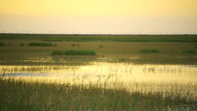 Florida Everglades Images Browse 955 761 Stock Photos Vectors And