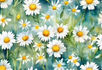 Watercolor background with flowers of chamomile