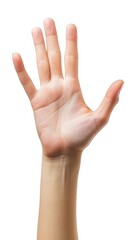 Woman hand holding grabbing or measuring something isolated on white background, with clipping path. Five fingers. Full Depth of field. Focus stacking, Generative AI