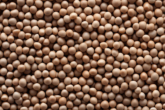 Close-up macro image of buckwheat grain background full frame. Concept natural vegan food backgrounds and style for design, textures and wallpaper. Copy space
