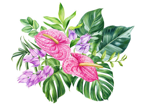 Exotic anturium flowers hand drawn, palm leaves drawn in watercolor. Botanical trendy compositions with tropical leaf
