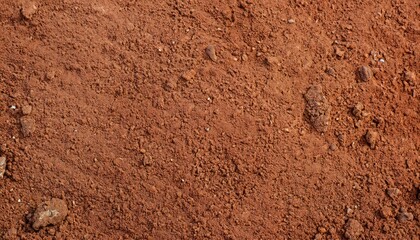 soil dirt texture with some fine-grain - obrazy, fototapety, plakaty