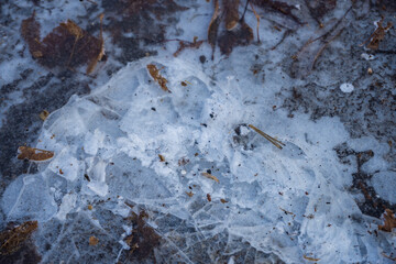 A close up of a frozen small puddle including some, dead leaves, dried grass.