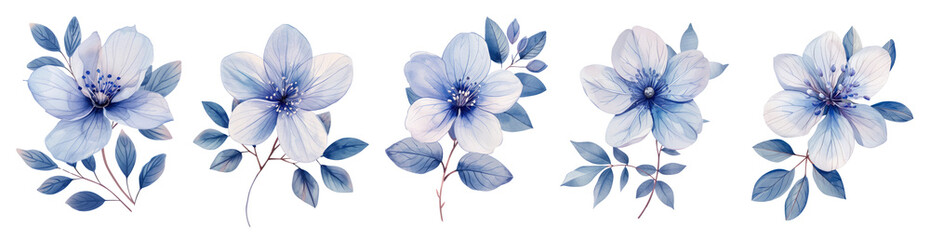 Blue and White Blossoms  Beautiful Summer Flowers in a Garden. cut out, Isolated on white. watercolor digital art, pastel color theme