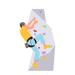 Sportsman climbing on artificial rock bouldering wall in gym indoors isolated on white background