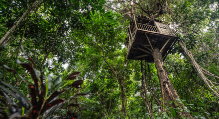 Treehouse in Vietnam jungle 
