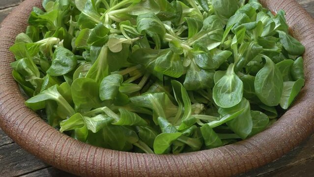 Raw lamb's lettuce (corn salad, Valerianella locusta) on a handmade clay plate on naturally aged wooden table. Table spin.