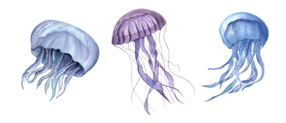  Jellyfish. Watercolor hand drawn illustration of three Jelly Fishes. Blue and violet medusa. Poisonous sea animals. Undersea fish. Foe aquarium design, logo, label