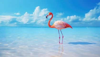 Fotobehang Pink flamingo standing in the water in a tropical country © terra.incognita