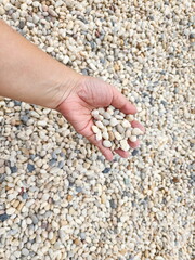 A woman uses her left hand to scoop  pebbles from the playground's gravel pit.  Small gravel is used for garden decoration or road paving.Granite gravel stone rocks flooring pattern surface texture
