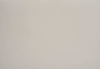 Light Dusty Beige Paper with a Delicate Embossed Surface. Light Warm Gray Clear Decorative Cardboard. Paper Texture. No text. Textured Rough Paper Layout. Elegant Paper Sheet with Soft Structure.