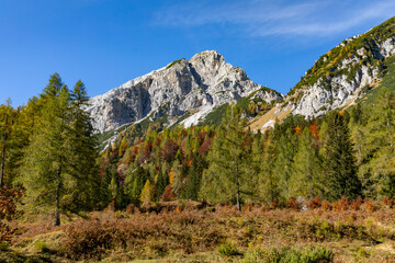 autumn in the mountains