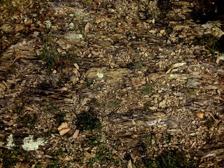 superficie, fondo, abstracto de montaña, rocas, desmenuzadas, agrietadas, con musgos, frescos,...