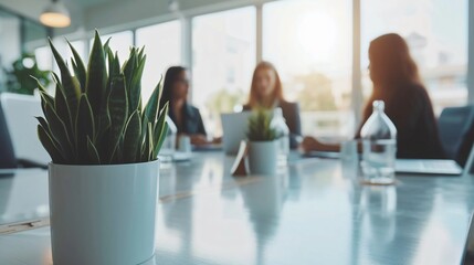 Brand concept meeting captured in a white office