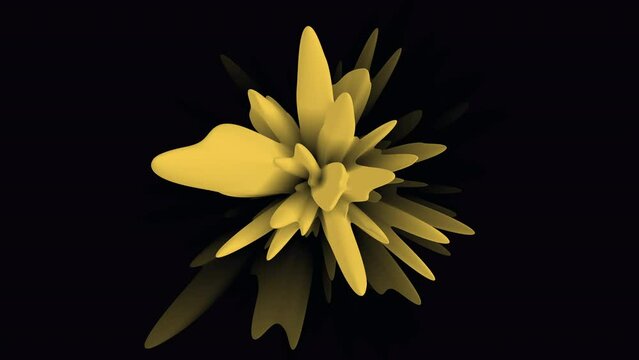 Close-up photo of a beautiful yellow flower on a black background, showcasing its symmetrical arrangement of yellow petals with a black center