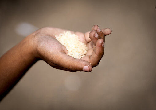 Rice in the hand of a child on a brown background