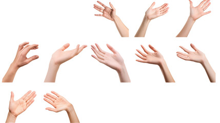 Set of Woman hands showing and gesturing isolated on white background 