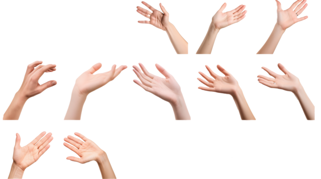 Set of Woman hands showing and gesturing isolated on white background  - Powered by Adobe