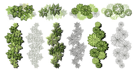 Tree for architectural floor plans. Entourage design. Various trees, bushes, and shrubs, top view for the landscape design plan. Vector illustration.