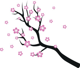 pink cherry blossom with branch, isolated vector illustration