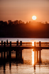 Fototapeta premium The setting sun casts a golden glow on a tranquil lake, with a dock's silhouette in the foreground