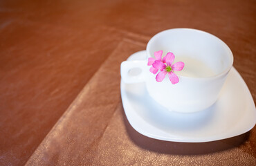 Fototapeta na wymiar Tea cup with leaves and pink flowers inside.