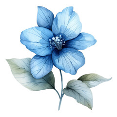 cute watercolor blue flower isolated
