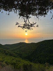 Obraz premium Mediterranean sunset from the Agalas viewpoint. Sitting and watching sunset in Zakynthos, Greece. Sunset pine trees, olive groves and sea view on a greek island.