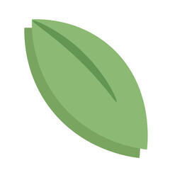 Illustration of a clean minimalistic green leaf